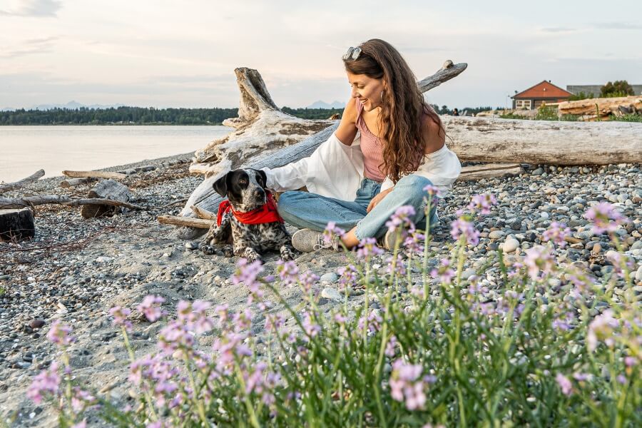 Dogs of Semiahmoo